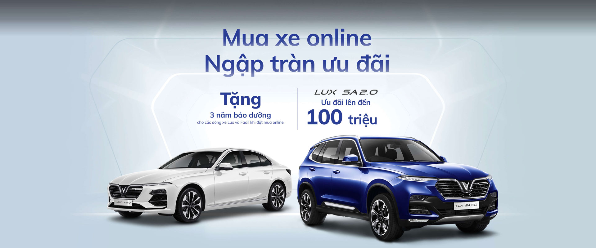mua xe online vinfast